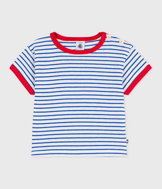 ボーダー半袖Ｔシャツ